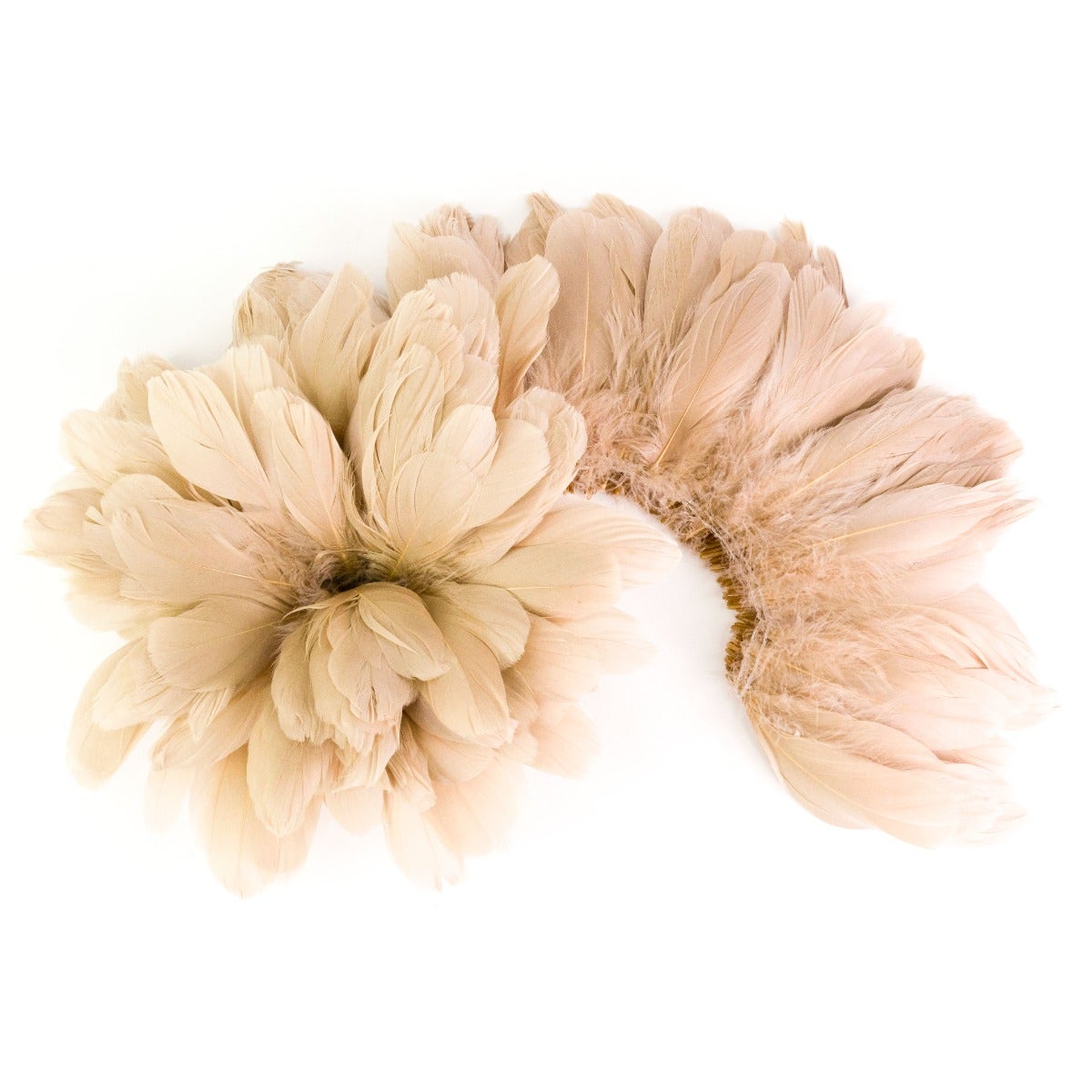 Goose Nagorie Dyed Feathers -Beige