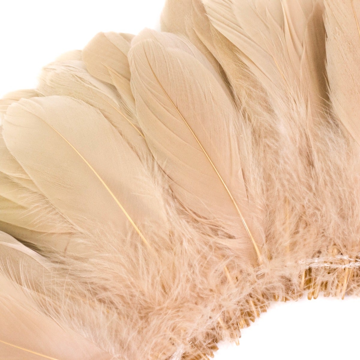 Goose Nagorie Dyed Feathers -Beige