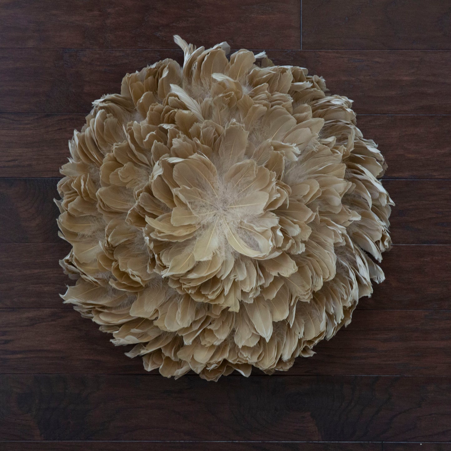 Juju Hat Nagoire Feather Wall Art 16 inch Wood Base   24-26 inch DIA --Beige