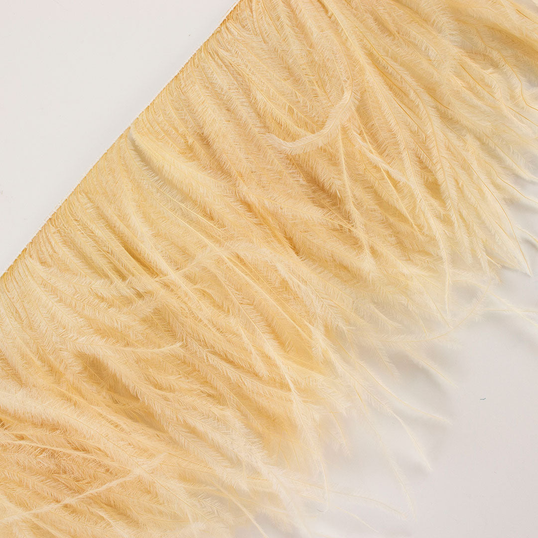 Beige Ostrich Feathers Fringe 2 Ply