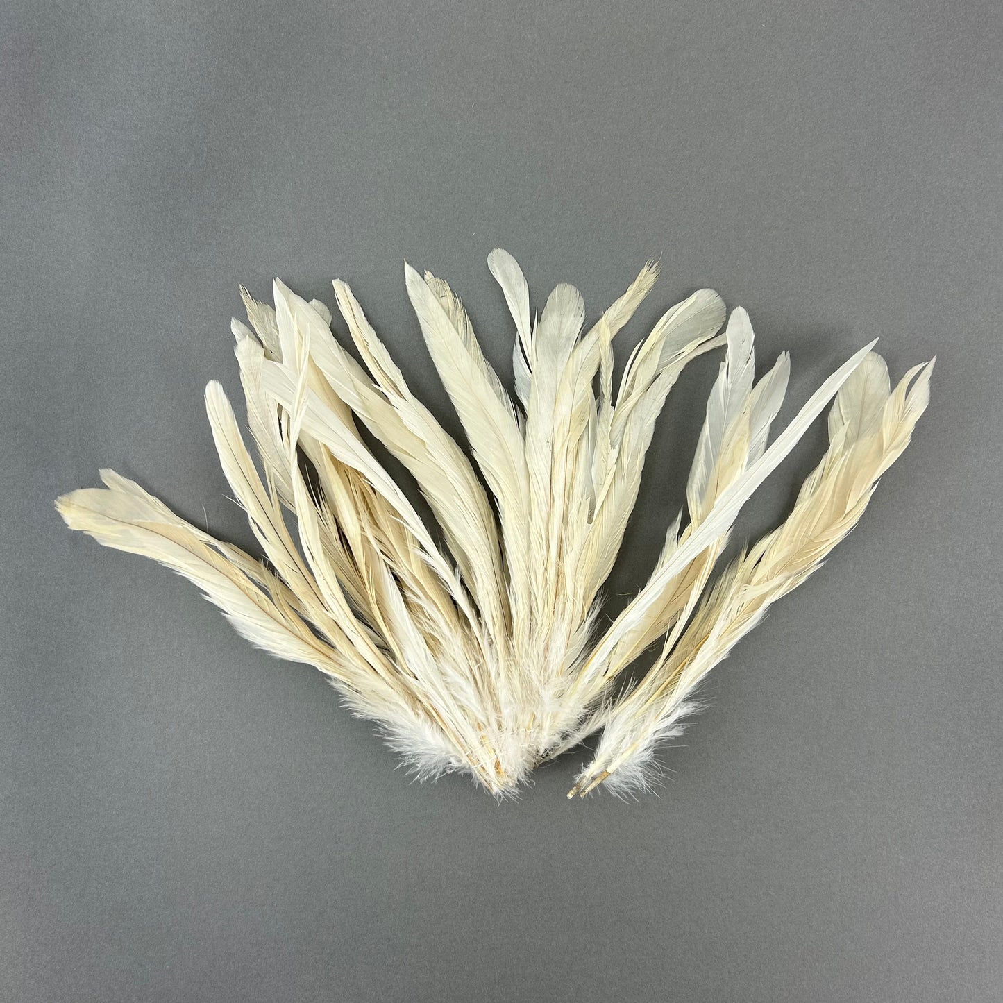 ROOSTER COQUE TAIL FEATHERS BLEACH DYED 7-10” - 25 PC/PKG - Beige