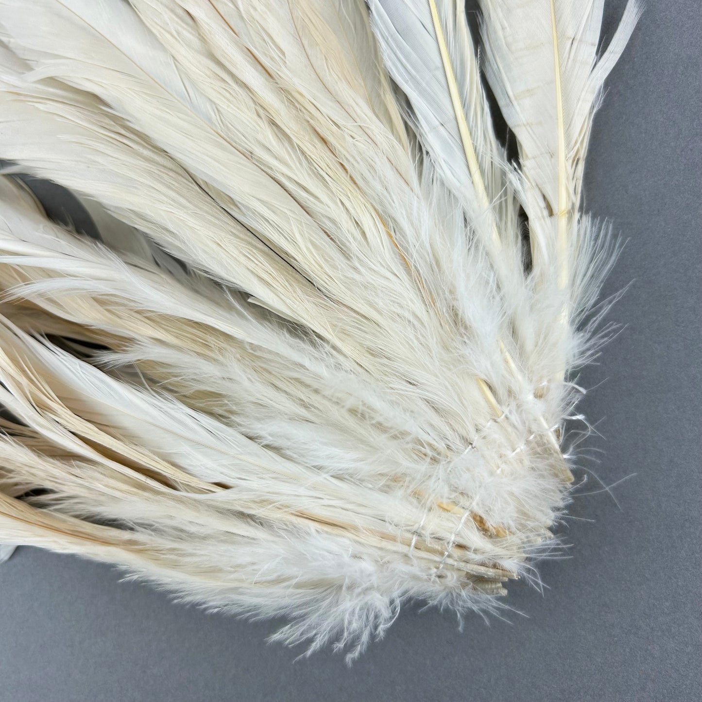 ROOSTER COQUE TAIL FEATHERS BLEACH DYED 7-10” - 25 PC/PKG - Beige