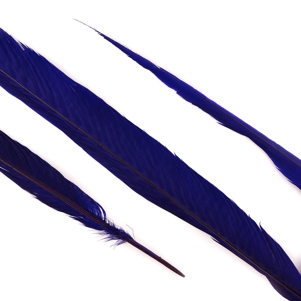 BGP30B Golden Pheasant Tails 25-30’’ Bleached & Dyed (3 Pieces Per Package) Regal - Feathers