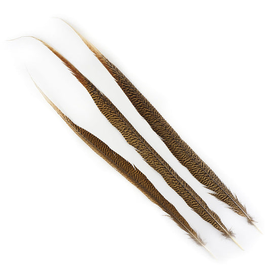 BGP30N Golden Pheasant Tails 25-30’’ Natural (3 Pieces Per Package) - Feathers