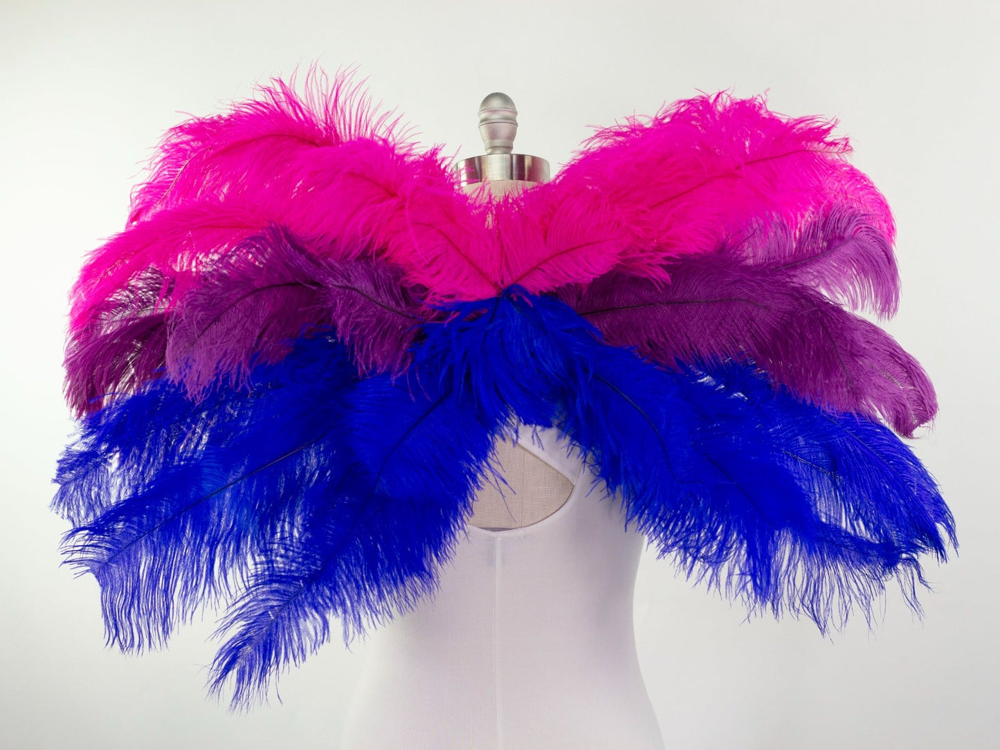 Bi-Pride Wings - Feathers