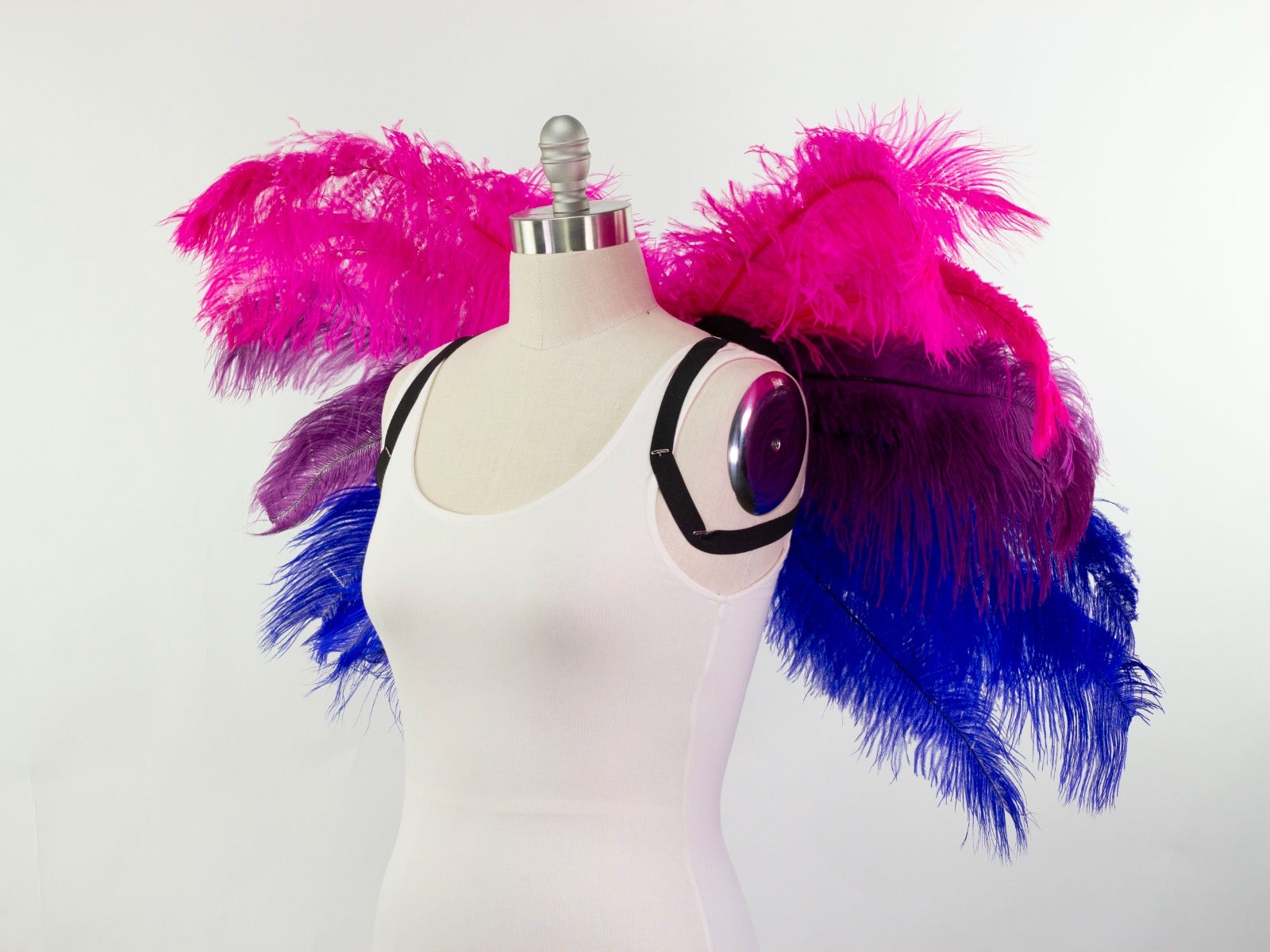 Bi-Pride Wings - Feathers