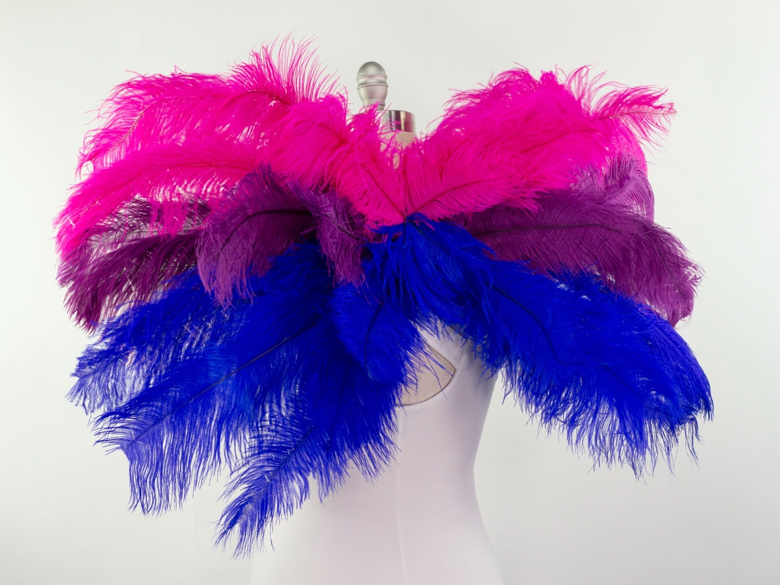 Bi-Pride Wings - Feathers