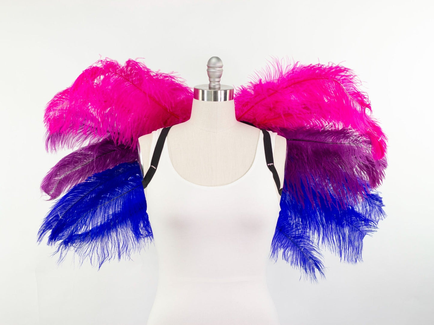 Bi-Pride Wings - Feathers