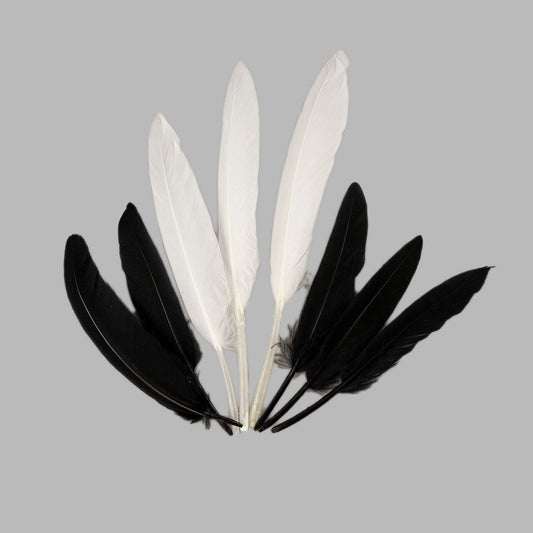 Black and White Indian Feathers - 24 pcs.