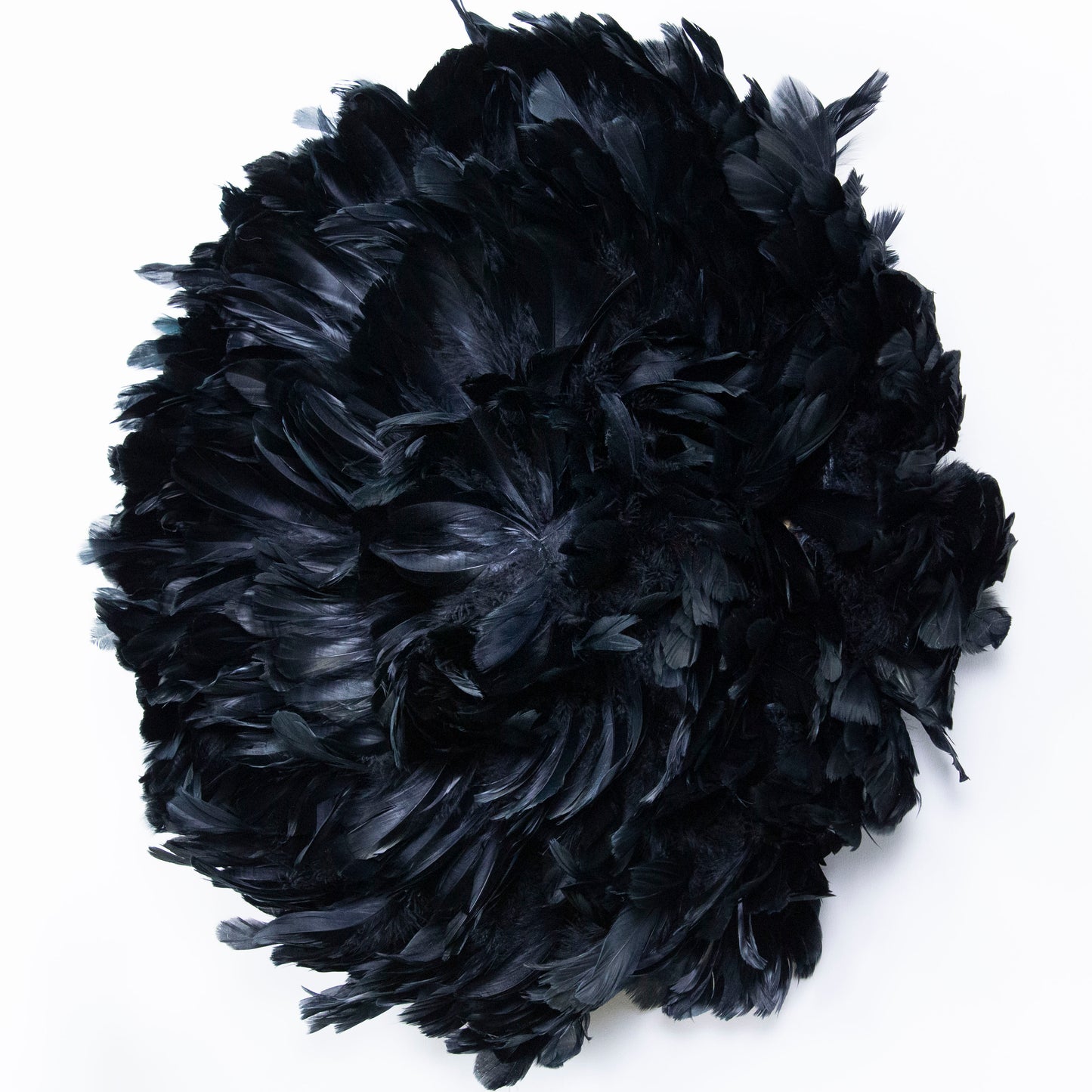 Juju Hat Nagoire Feather Wall Art 16 inch Wood Base   24-26 inch DIA --Black