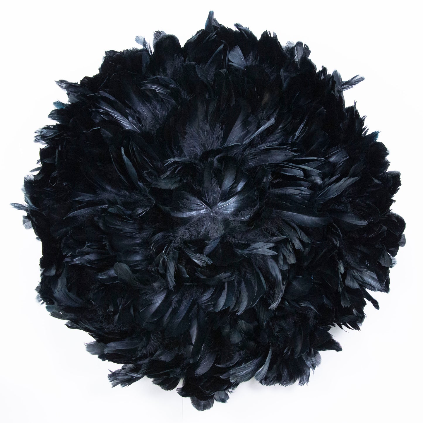 Juju Hat Nagoire Feather Wall Art 16 inch Wood Base   24-26 inch DIA --Black