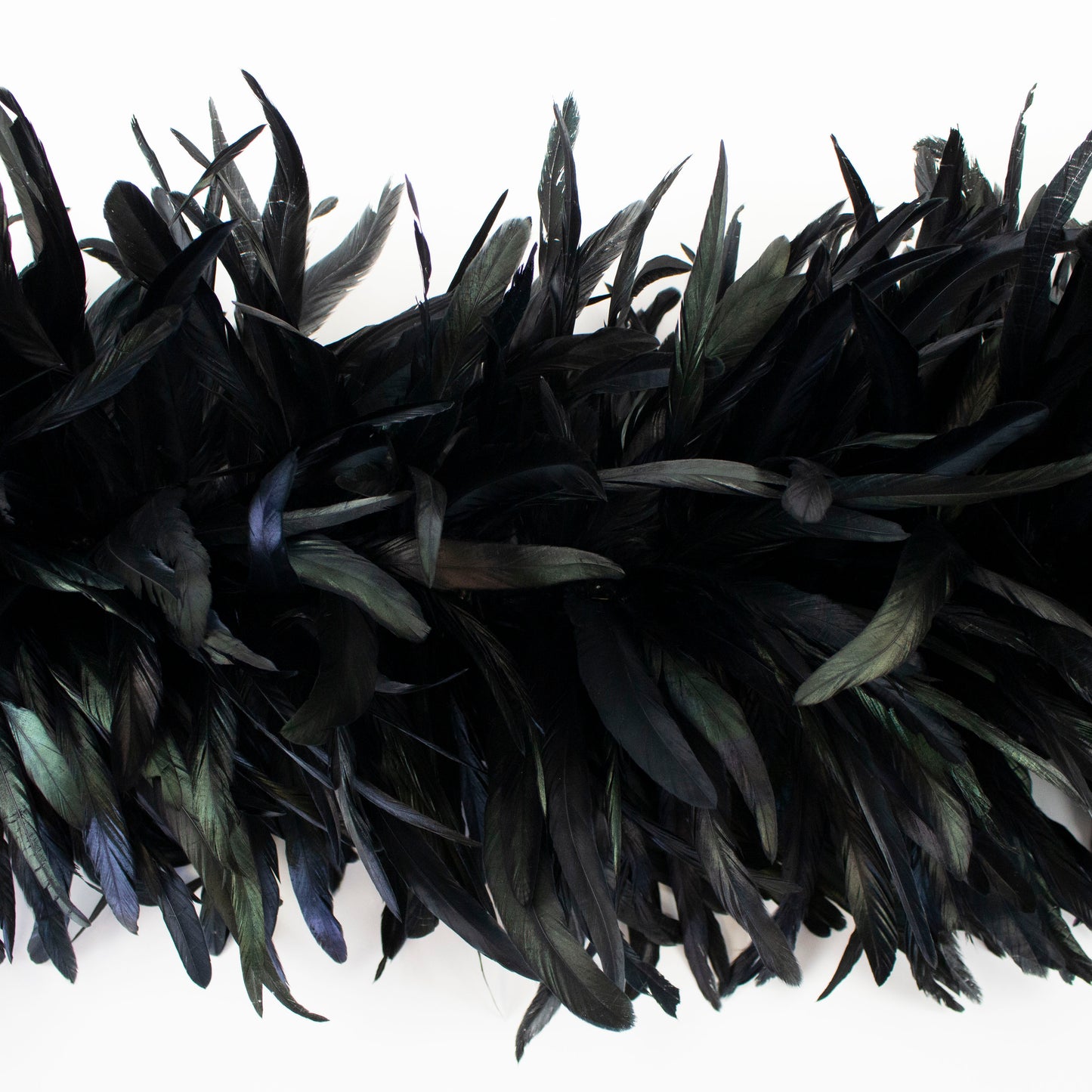 Deluxe Black Coque Tail Feather Boa