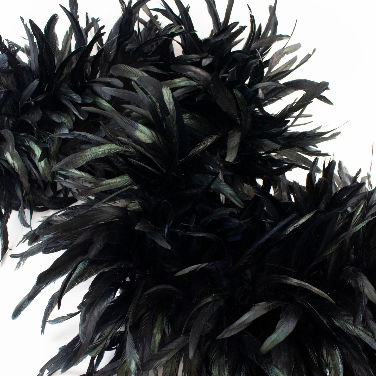 Deluxe Black Coque Tail Feather Boa