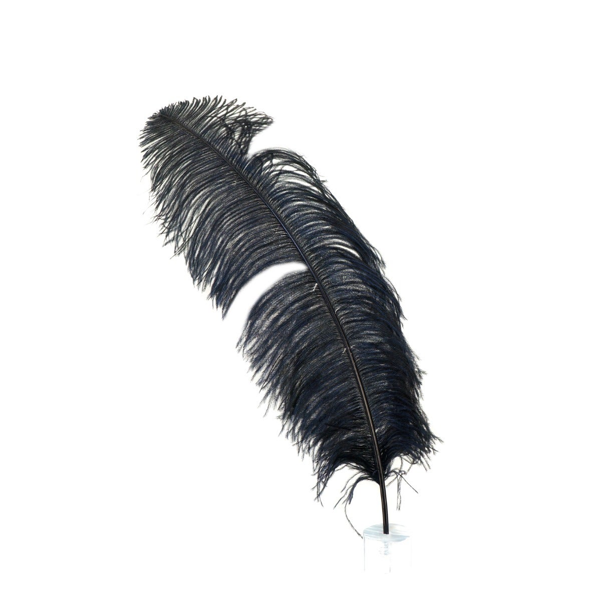 Bulk Ostrich Feathers-Damaged Femina 18-30"- Black