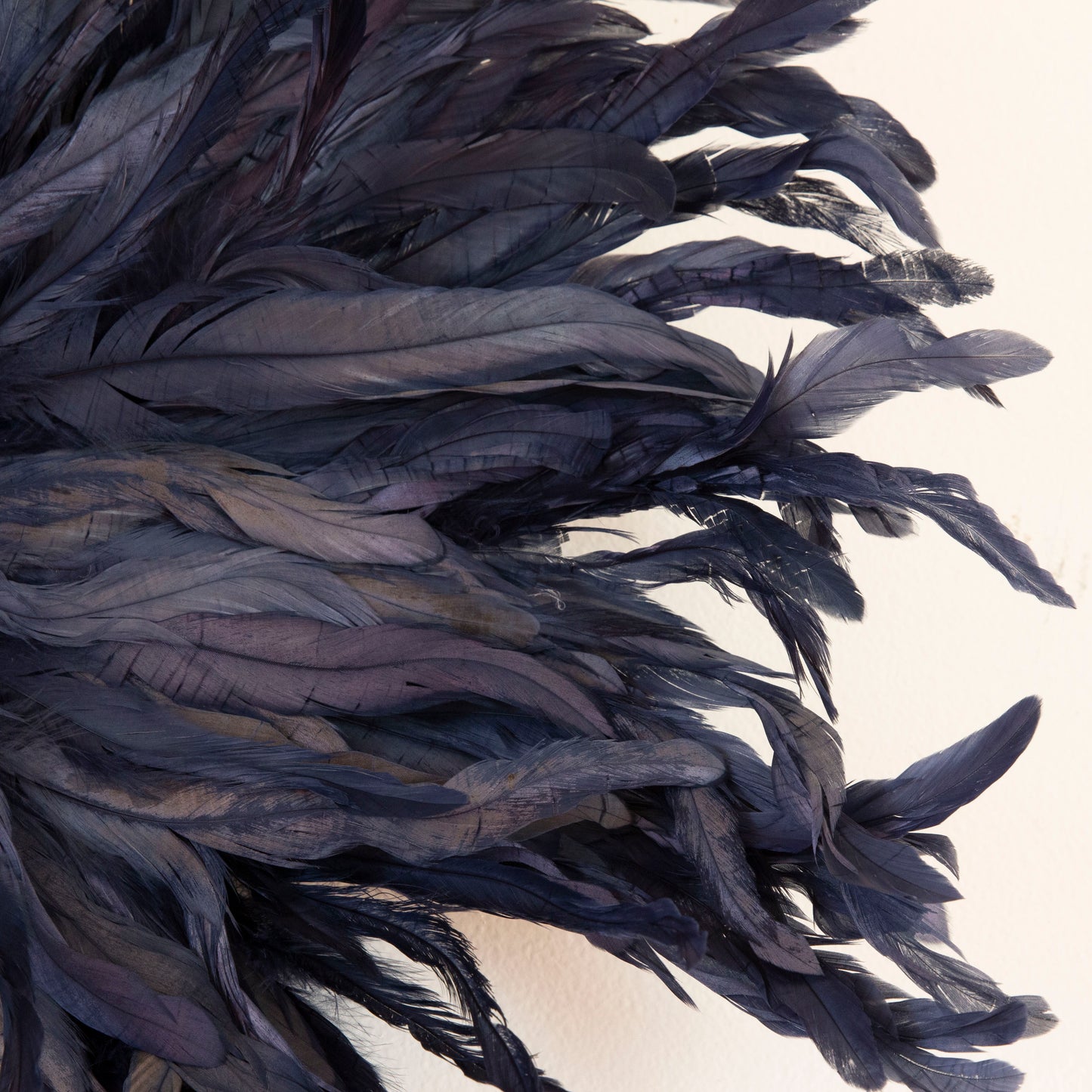 Black Juju Hat Feather Wall Art