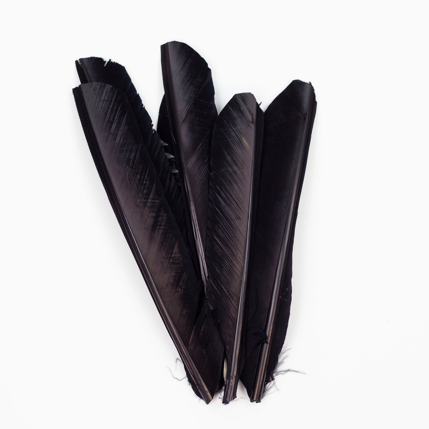 Black Cut Turkey Pointer Feathers 8-12"