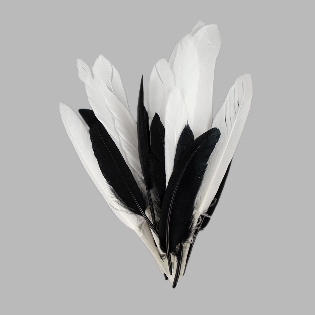 Black and White Indian Feathers - 24 pcs.