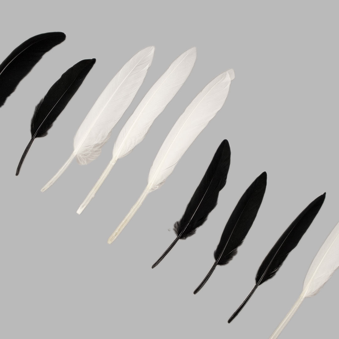 Black and White Indian Feathers - 24 pcs.
