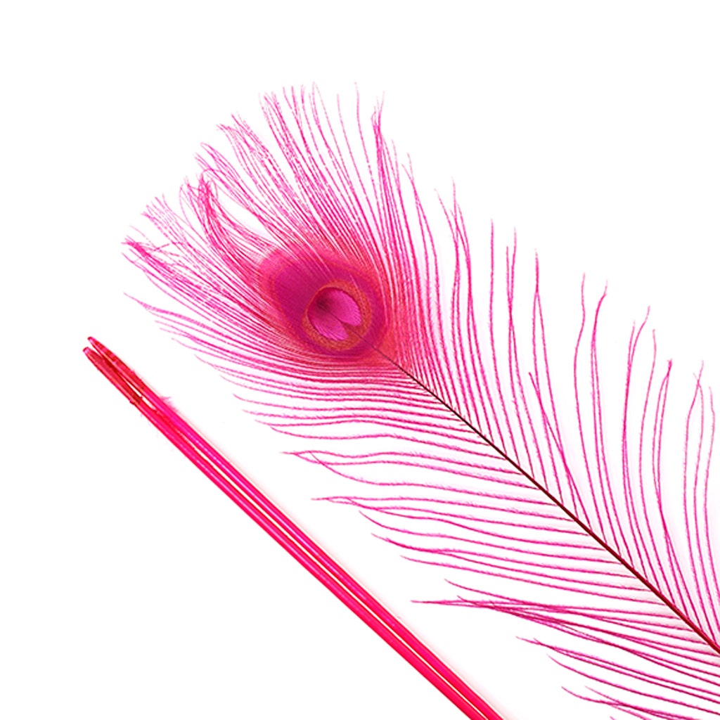 Bleached and Dyed Peacock Eye Feathers - 25-40 Inch - 10 PCS - Shocking Pink - Feathers