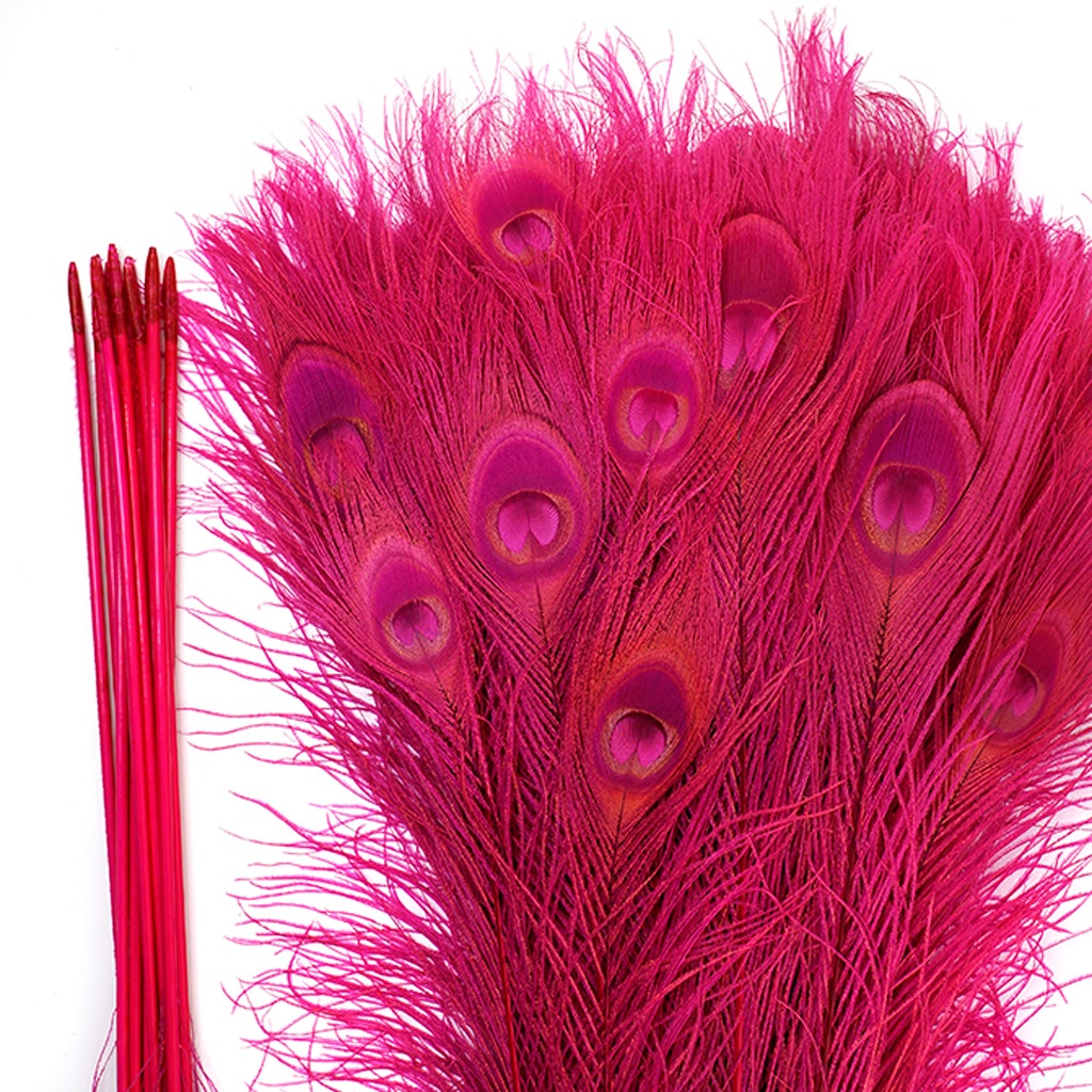 Bleached and Dyed Peacock Eye Feathers - 25-40 Inch - 10 PCS - Shocking Pink - Feathers