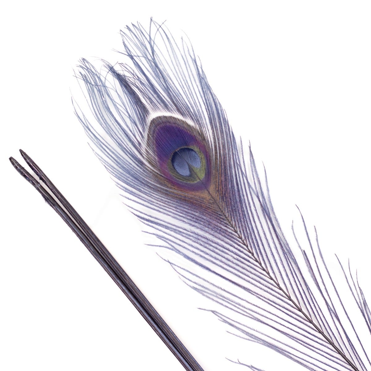 Bleached and Dyed Peacock Eye Feathers 30-40’’ - 10 pcs - Navy - Feathers