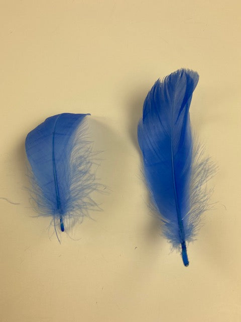 Goose Nagoire Loose 4-6 inch   1/4LB --Sky