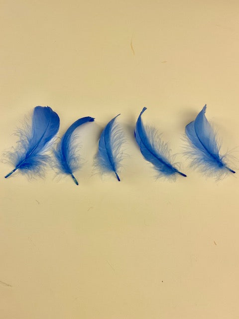 Goose Nagoire Loose 4-6 inch   1/4LB --Sky