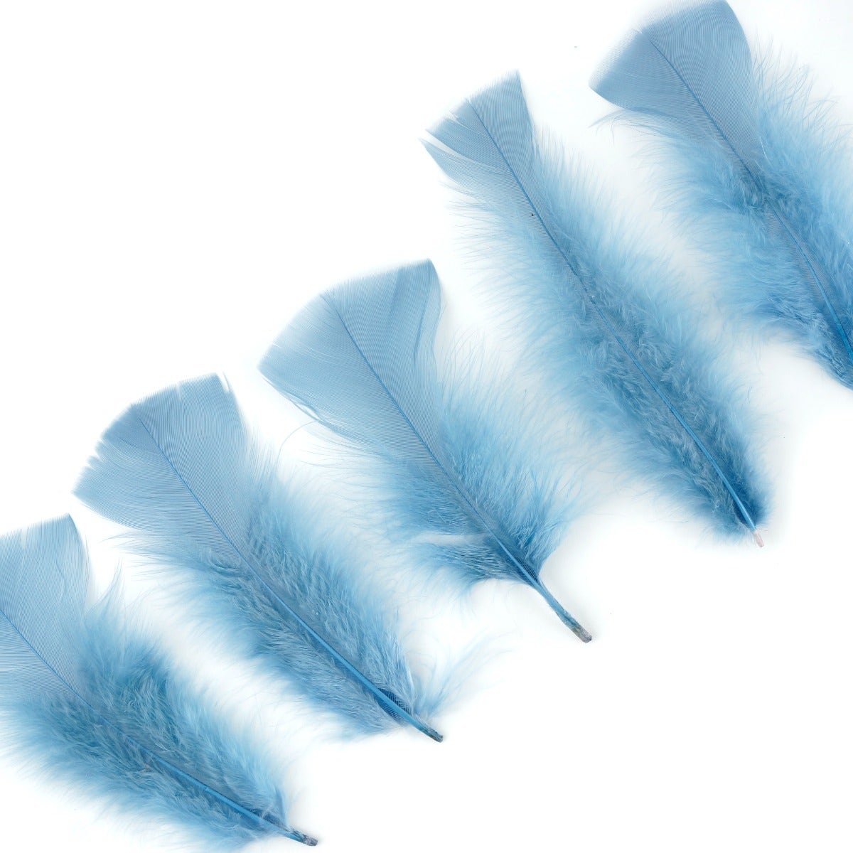 Loose Turkey Flats Dyed Feathers-Country Blue