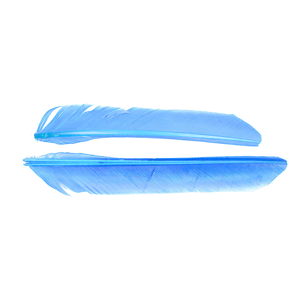 Sky Cut Turkey Pointer Feathers 8-12"