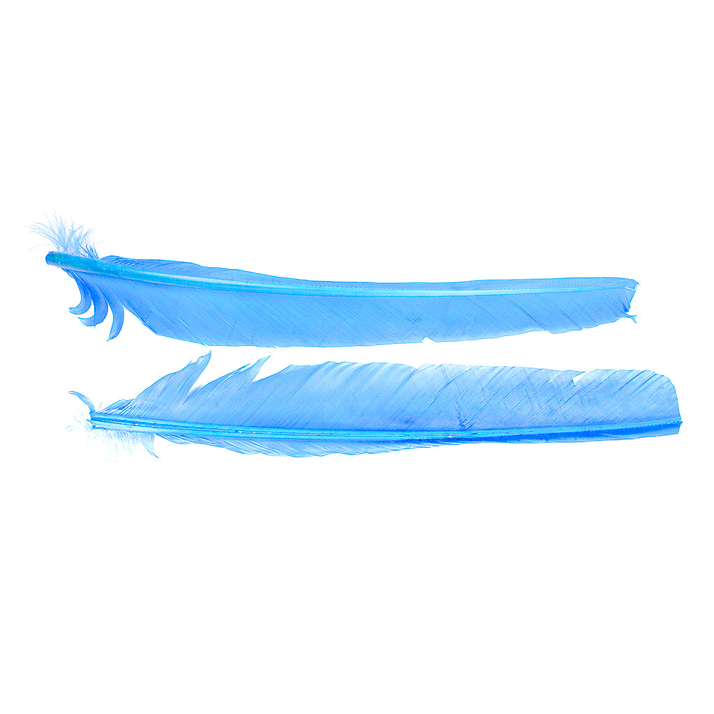 Sky Cut Turkey Pointer Feathers 8-12"