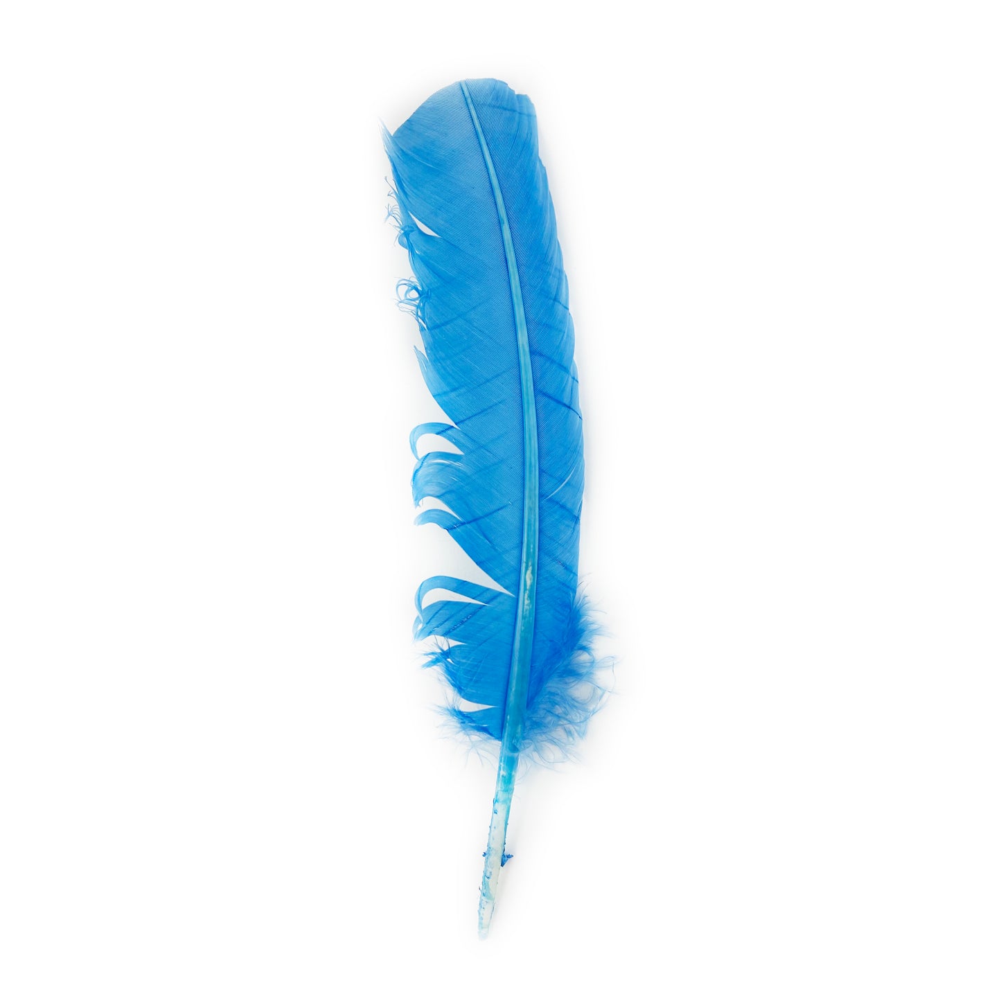 Turkey Quills Dyed Feathers - Sky