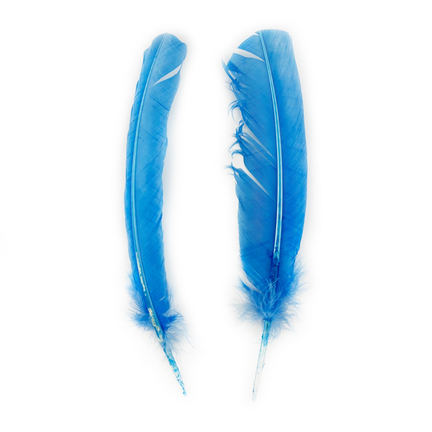Turkey Quills Dyed Feathers - Sky