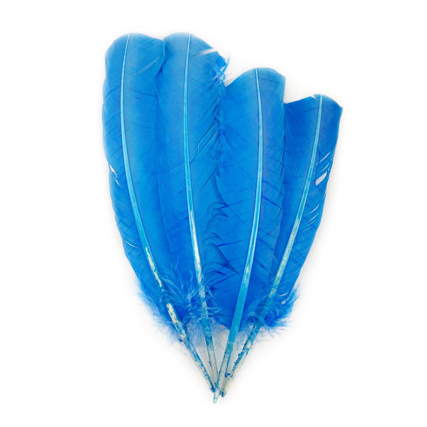 Turkey Quills Dyed Feathers - Sky