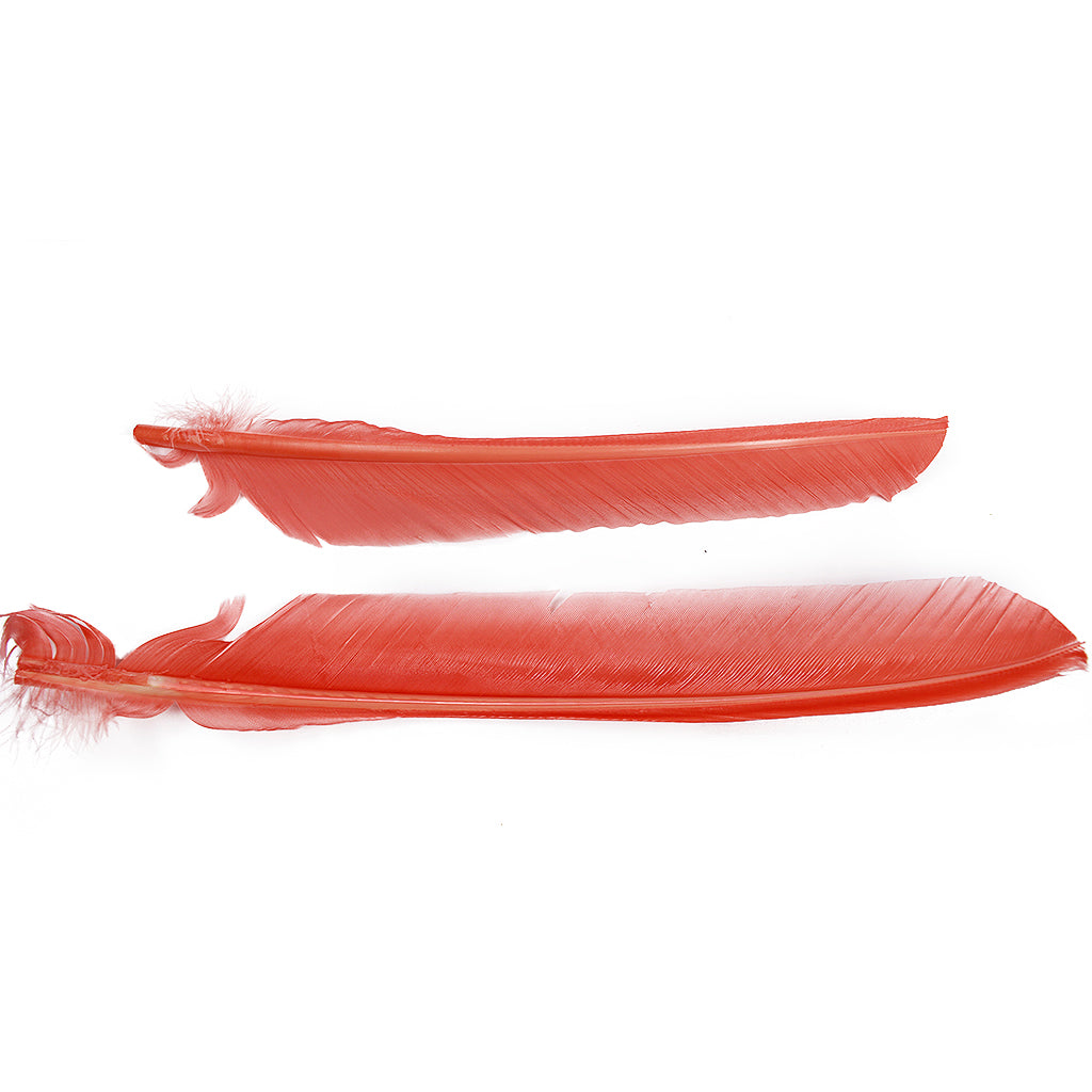 Apricot Blush Cut Turkey Pointer Feathers 8-12"