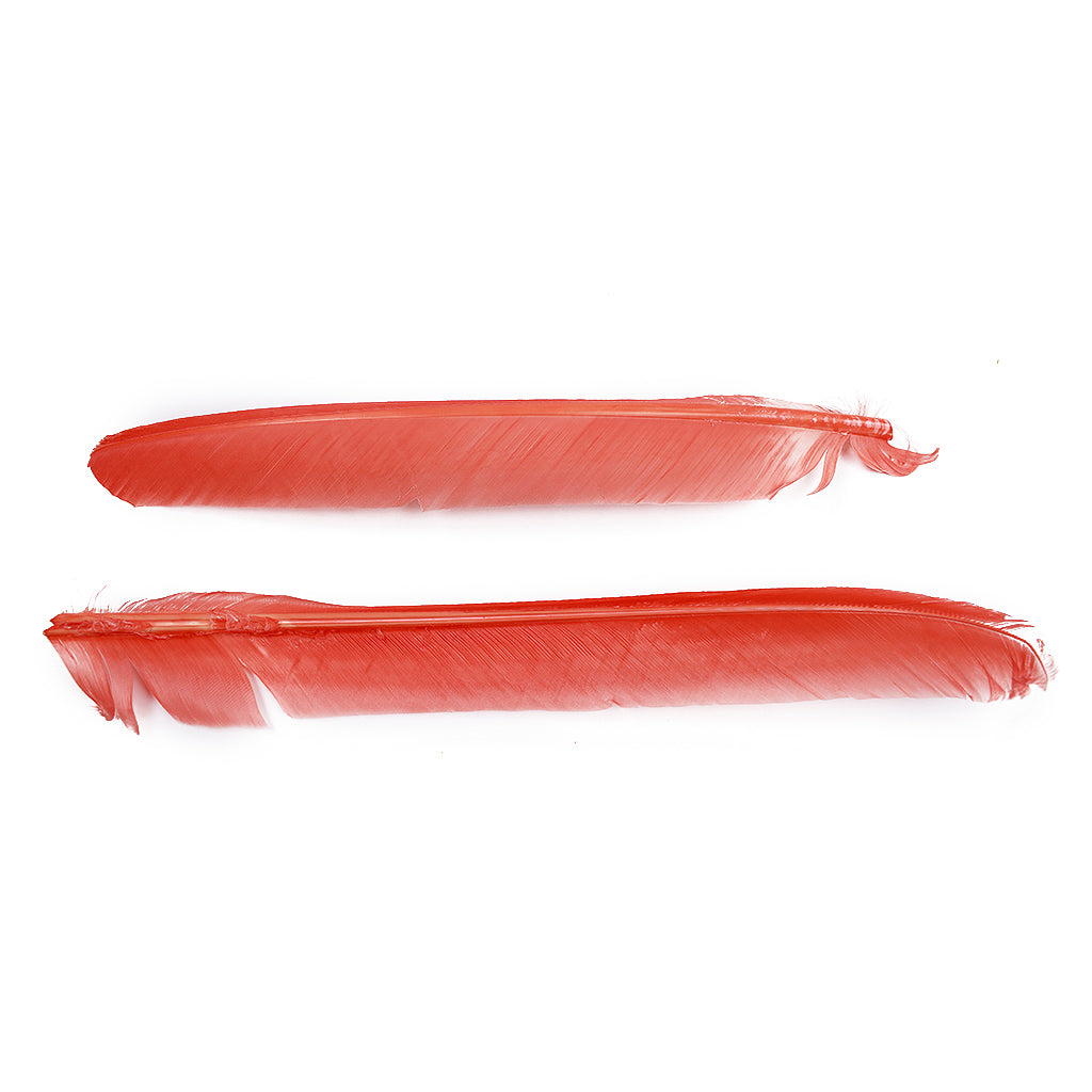 Apricot Blush Cut Turkey Pointer Feathers 8-12"