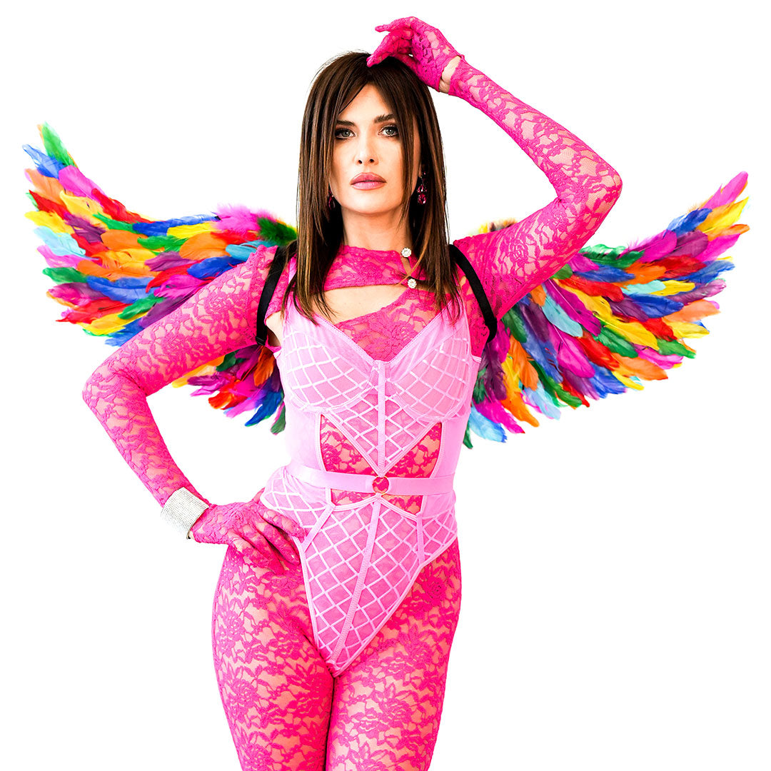 Bright Rainbow Fairy Wings - Feathers