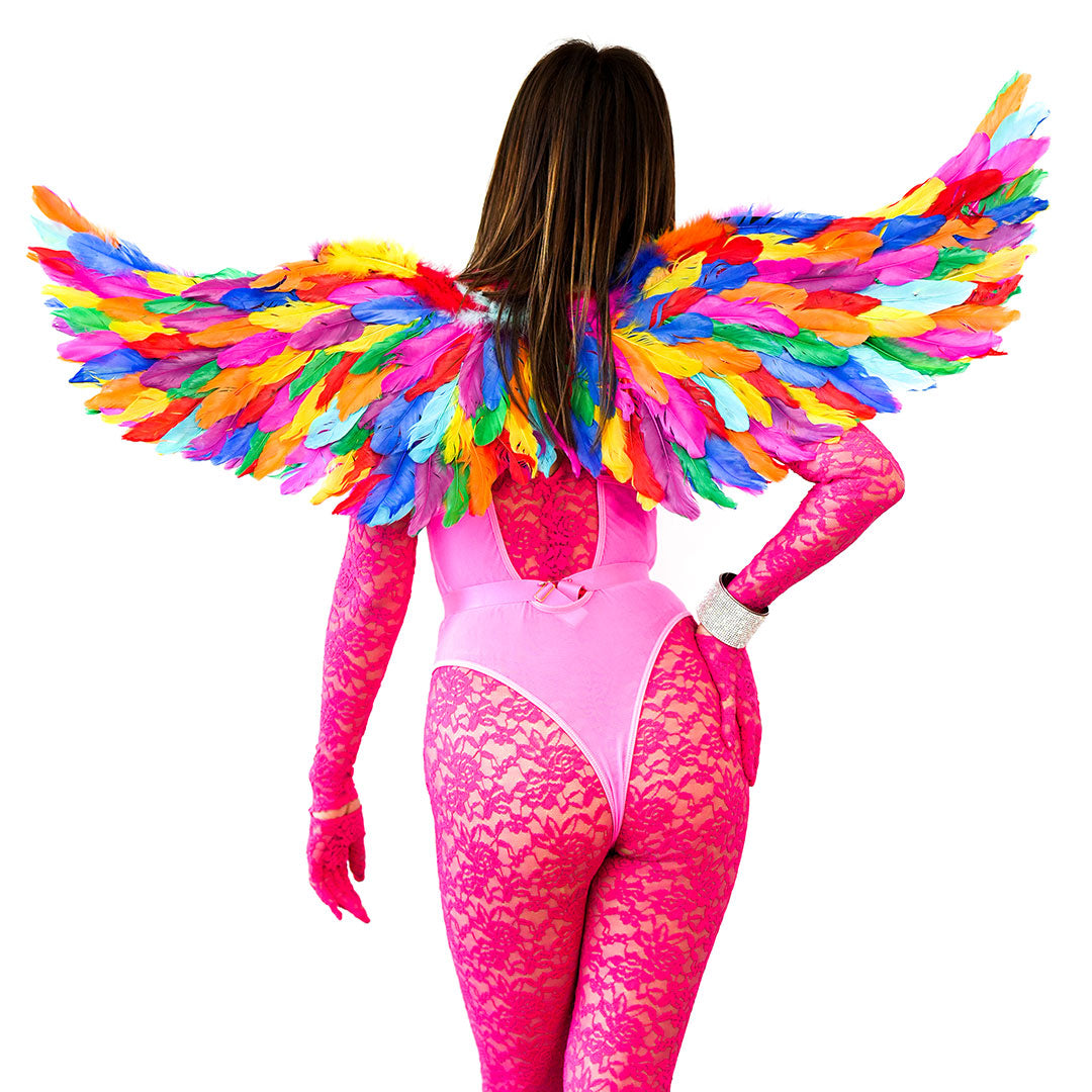 Bright Rainbow Fairy Wings - Feathers