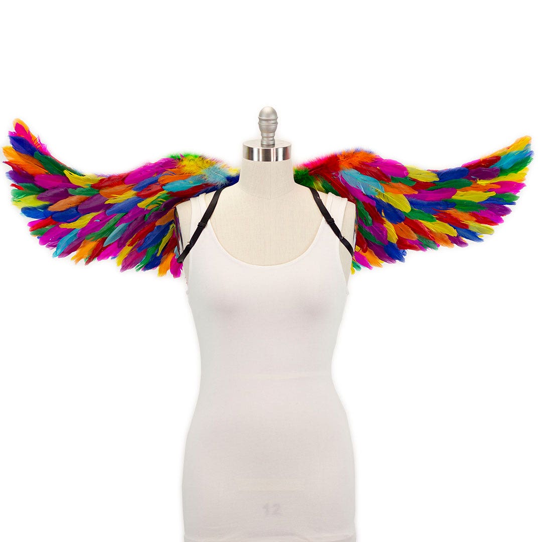 Bright Rainbow Fairy Wings - Feathers