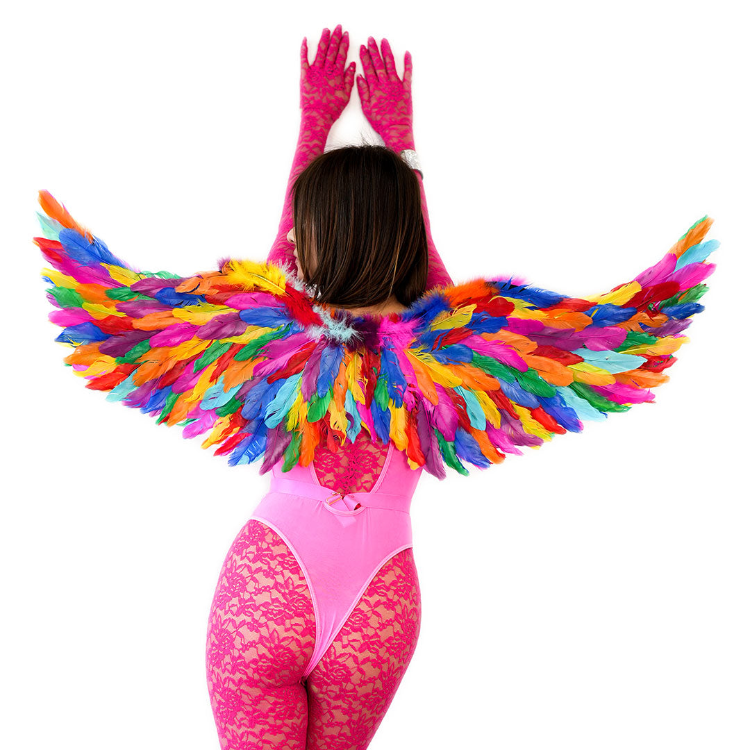 Bright Rainbow Fairy Wings - Feathers