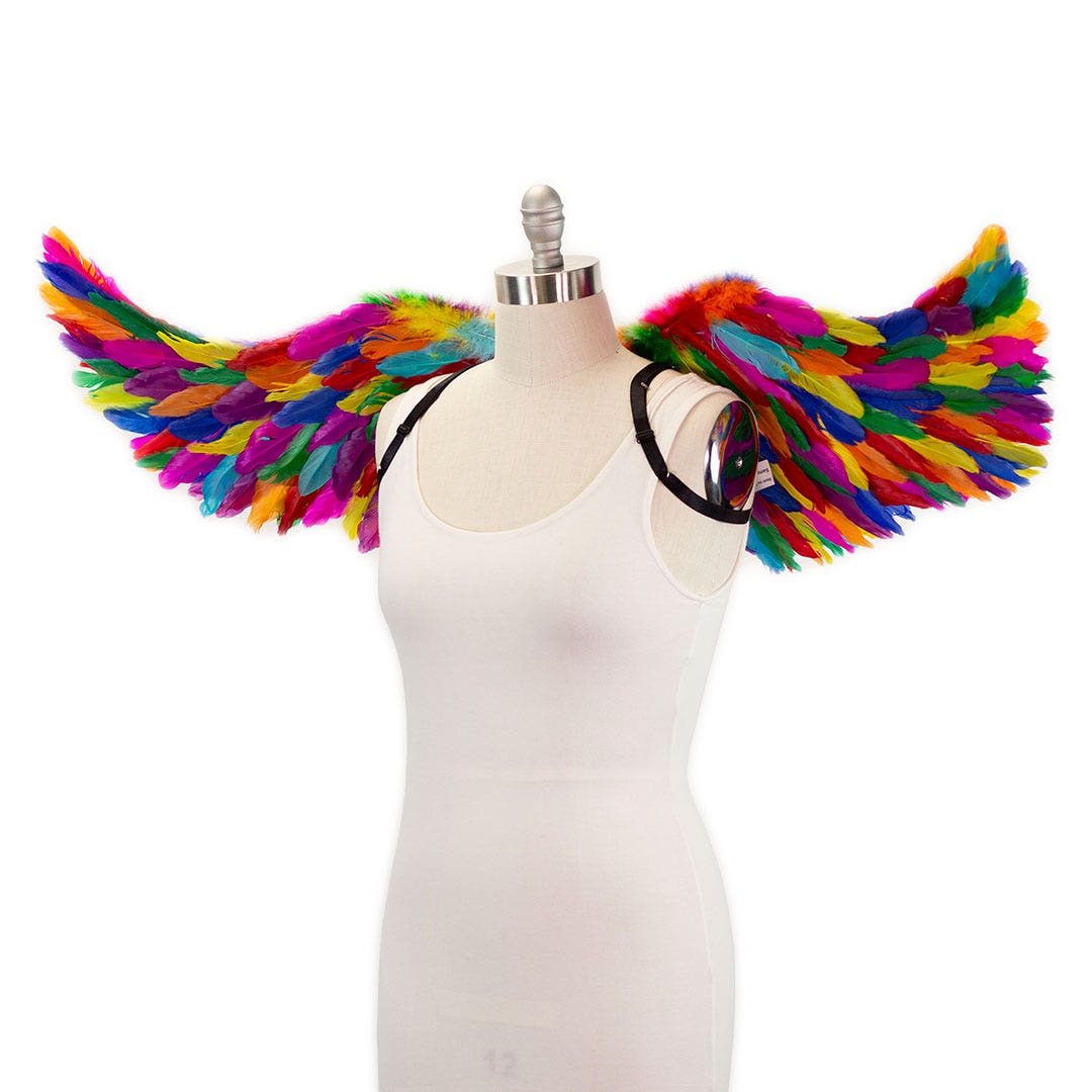 Bright Rainbow Fairy Wings - Feathers