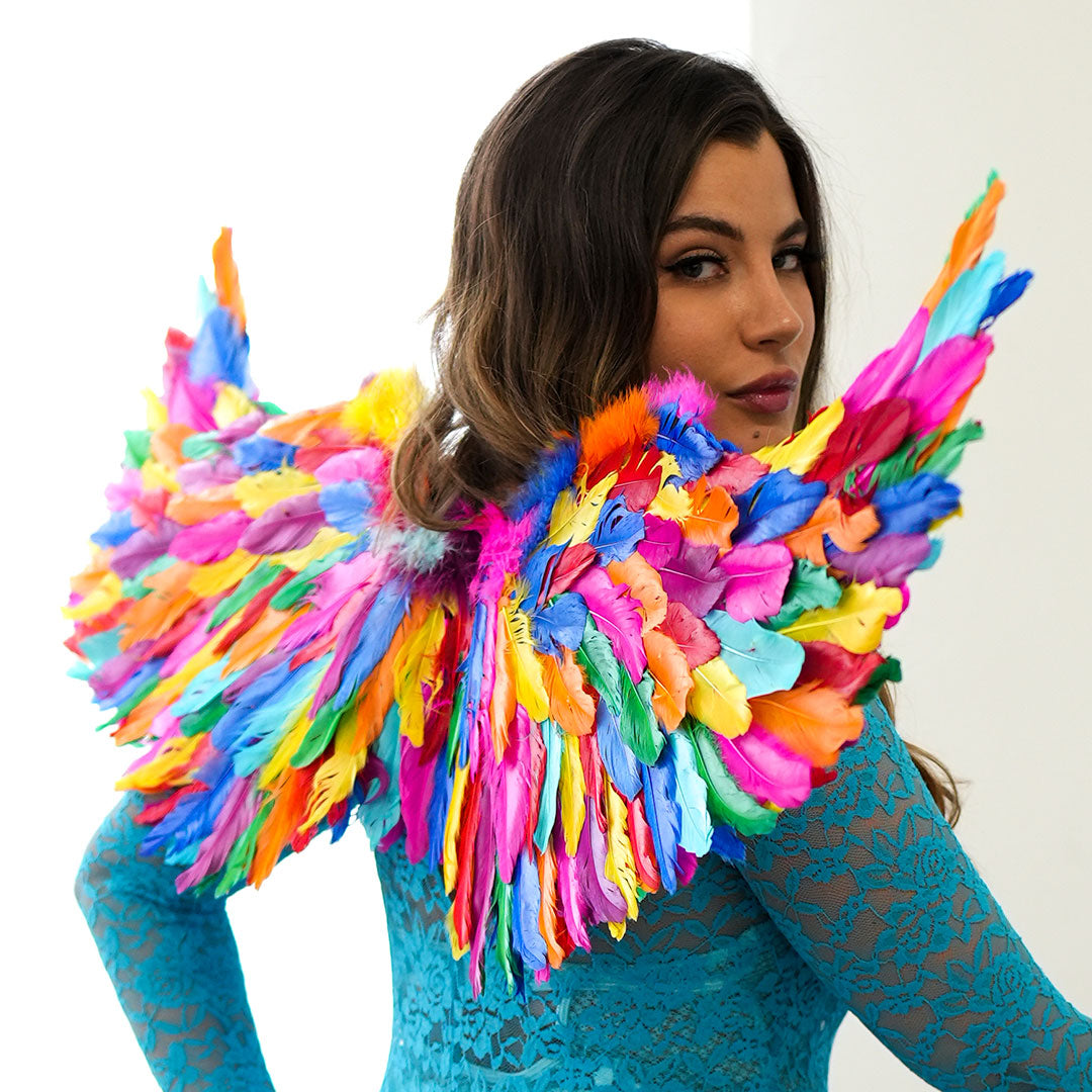 Bright Rainbow Fairy Wings - Feathers