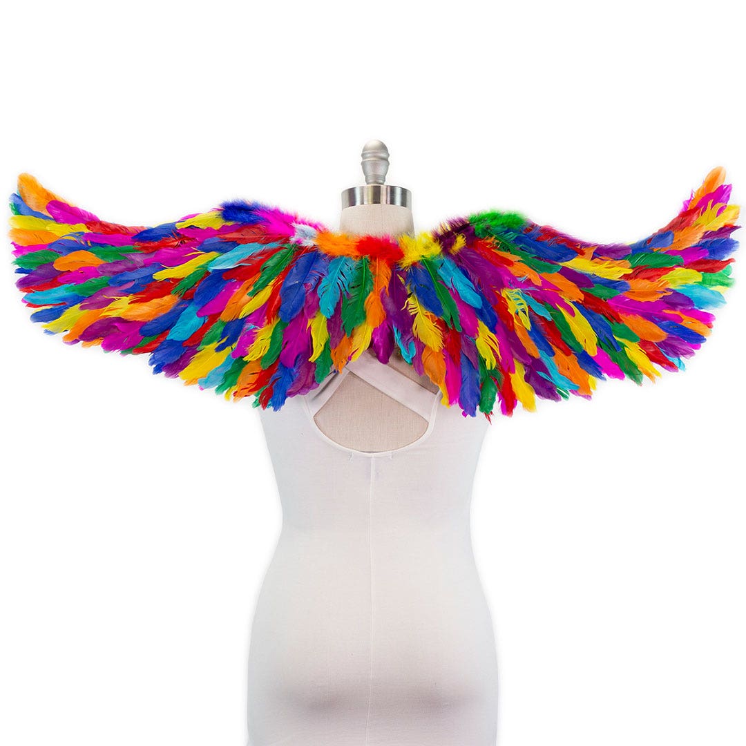 Bright Rainbow Fairy Wings - Feathers