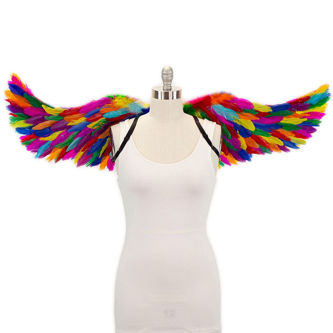 Bright Rainbow Fairy Wings - Feathers