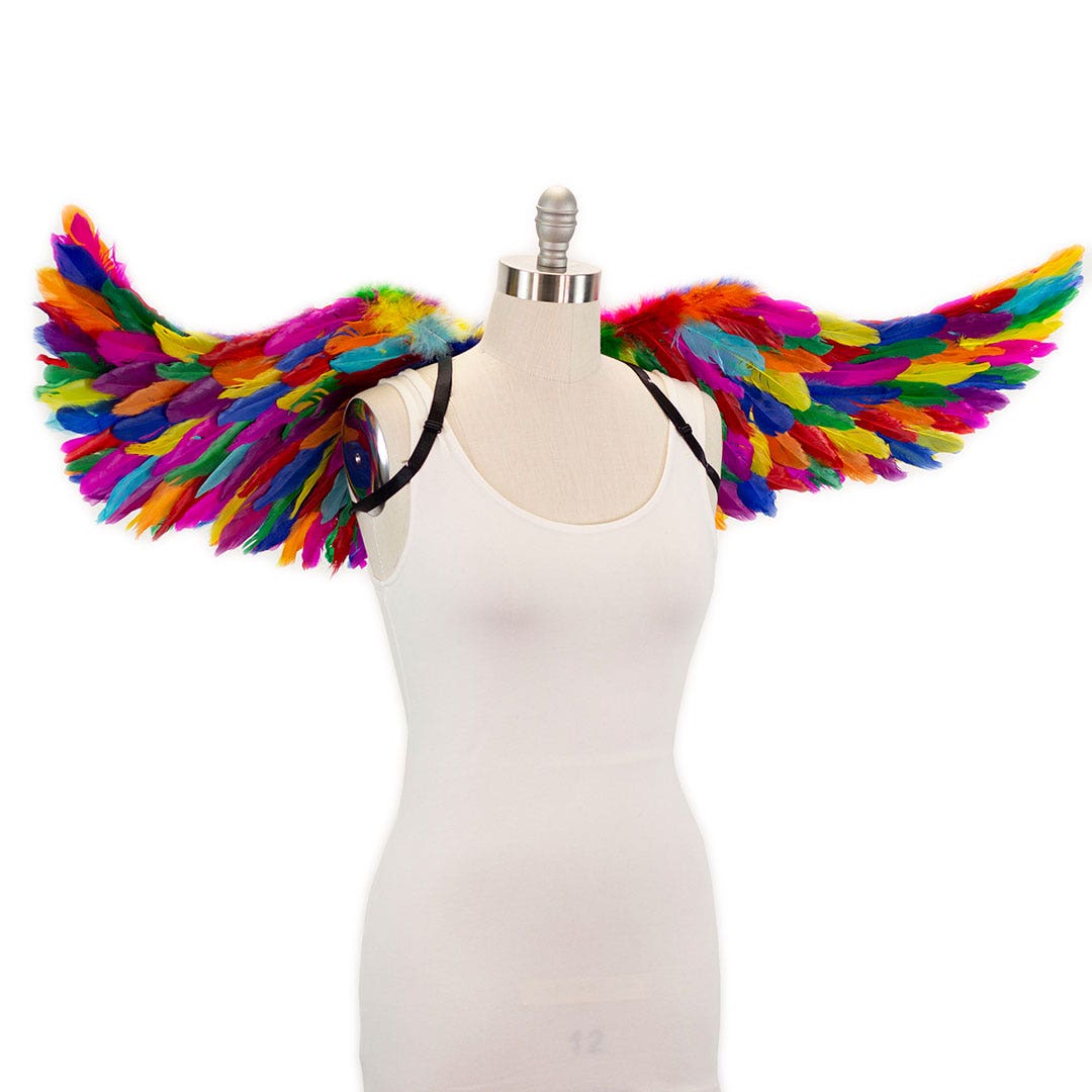 Bright Rainbow Fairy Wings - Feathers