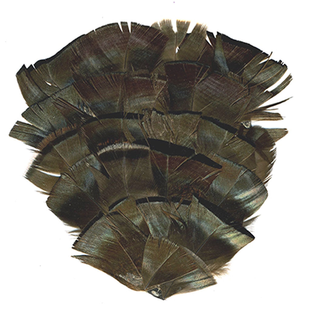 Bronze Turkey Flats Feather Pad - Natural - Feathers