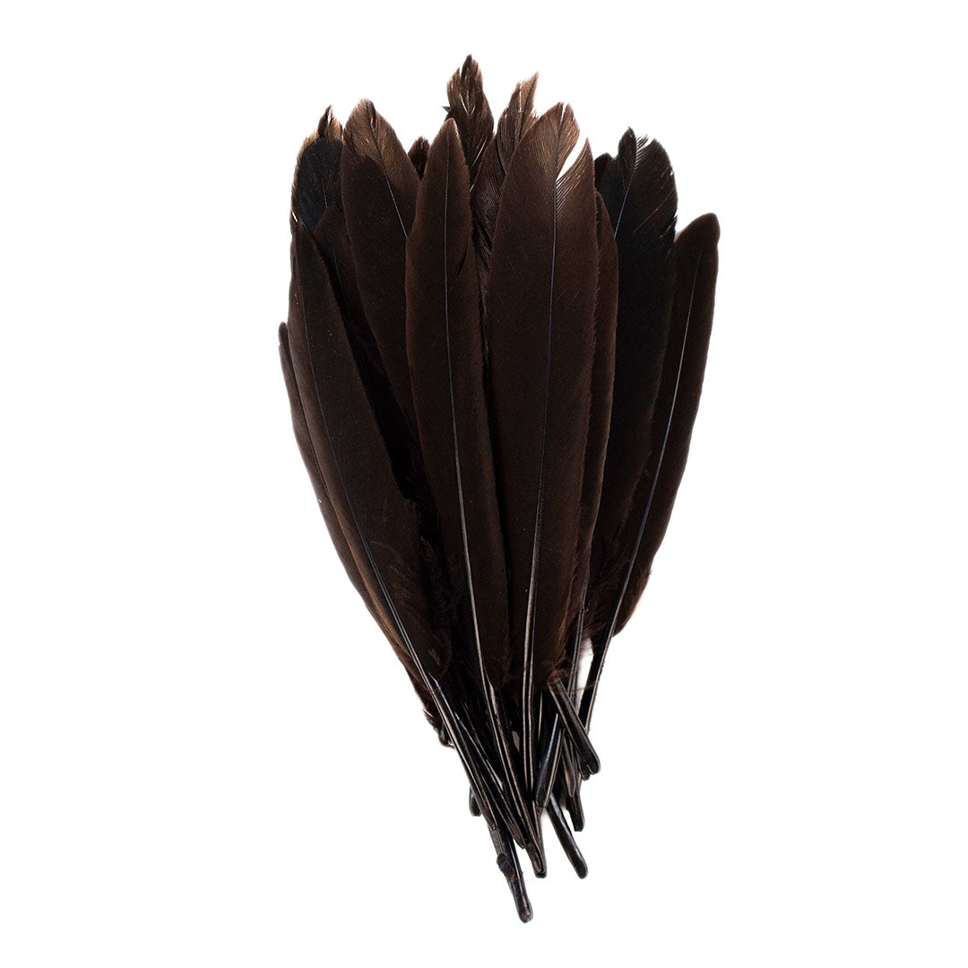 Duck Cosse Feathers - 3 - 4 – Zucker Feather Products, Inc.
