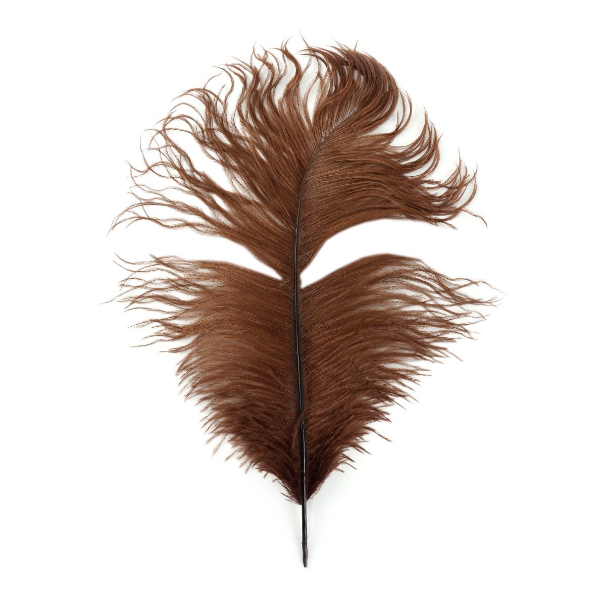 Bulk Ostrich Feathers-Damaged Drabs - Brown