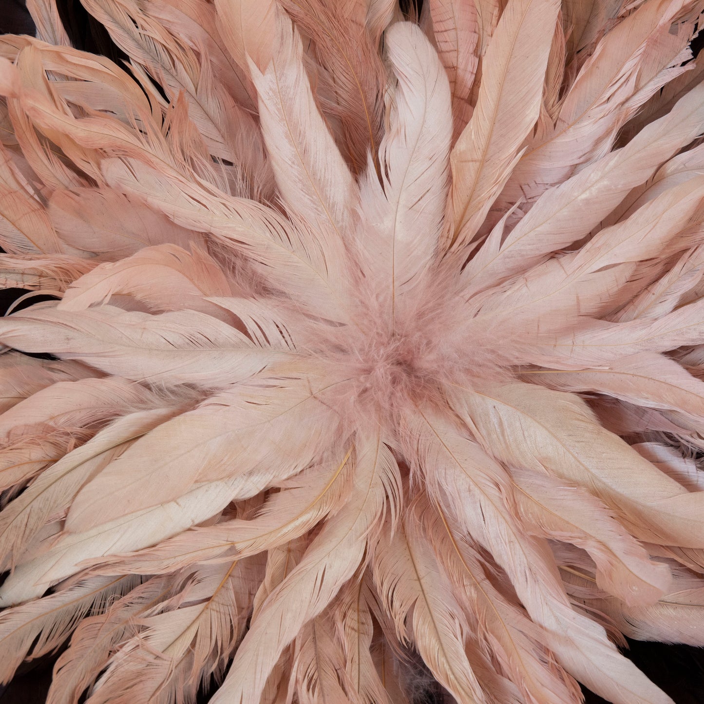 Brown and Rose Gold Juju Hat Feather Wall Art