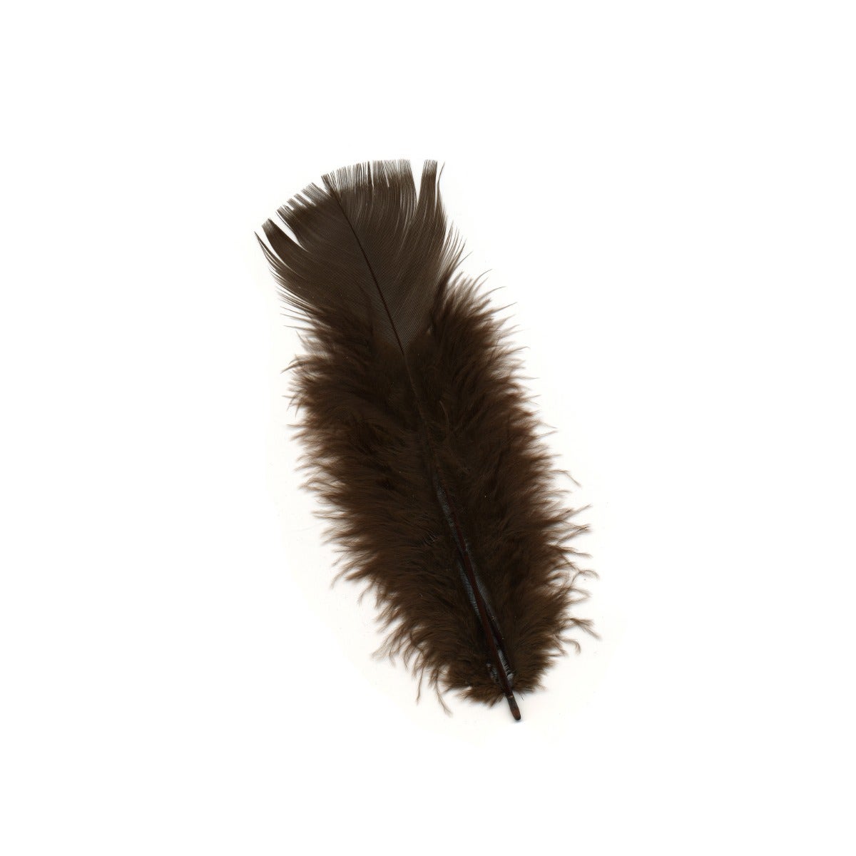 Loose Turkey Flats Dyed Feathers-Brown