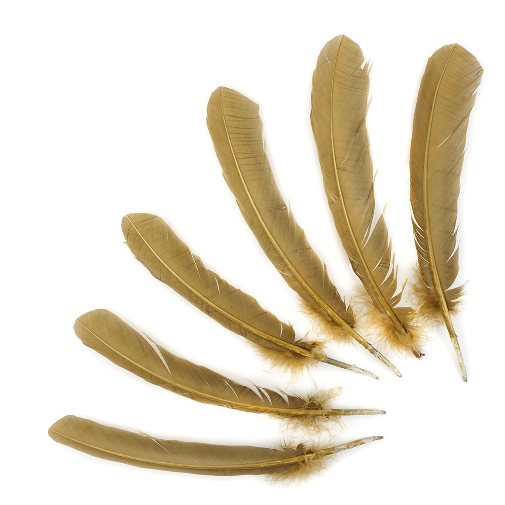 Bulk Turkey Quills by Pound - Right Wing - Camel